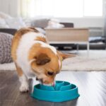 Outward Hound Fun Feeder Slo Bowl – Medium 2‑Cup Capacity, Slow Feeding, Small t... - Image 7