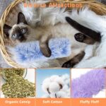 3 Pack Catnip Soft Durable Cat Pillows, Rich Color Catnip Indoor Interactive Cat... - Image 3