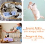3 Pack Catnip Soft Durable Cat Pillows, Rich Color Catnip Indoor Interactive Cat... - Image 6