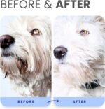 Lillian Ruff PRO Formula Berry Blue Brightening Dog Shampoo & Conditioner Set - ... - Image 6