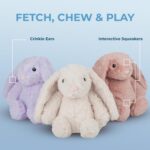 Best Pet Supplies Squeaky Dog Toys with Soft Durable Fabric for Small, Medium an... - Image 4