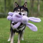 Best Pet Supplies Squeaky Dog Toys with Soft Durable Fabric for Small, Medium an... - Image 7