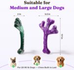 Frienhund 2 Pack Indestructible Dog Chew Toys for Aggressive Chewers - Textured ... - Image 10