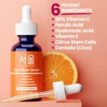 SeoulCeuticals Korean Skin Care Korean- 20% Vitamin C Hyaluronic Acid Serum + CE... - Image 7