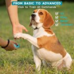 Dog Training Clicker with Sring Wrist and Keyring - Pet Dog Training Clickers fo... - Image 6