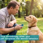 Dog Training Clicker with Sring Wrist and Keyring - Pet Dog Training Clickers fo... - Image 7