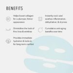 Hydropeptide Polypeptide Collagel+ Plus Face Mask, Line Lifting Hydrogel Peptide... - Image 4
