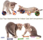 Retro Shaw Cat Toys Pack 25Pcs, Interactive Kitten Toys for Indoor Kittens Cats,... - Image 8