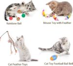 Retro Shaw Cat Toys Pack 25Pcs, Interactive Kitten Toys for Indoor Kittens Cats,... - Image 9