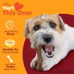 Nylabone Strong Chew Femur Bone Dog Toy Made with Real Bison & Venison, Durable ... - Image 4