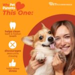 Nylabone Strong Chew Femur Bone Dog Toy Made with Real Bison & Venison, Durable ... - Image 5