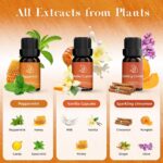 ASAKUKI Essential Oils for Diffusers for Home, Fragrance Oil for Candle Making, ... - Image 3