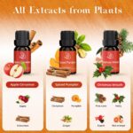 ASAKUKI Essential Oils for Diffusers for Home, Fragrance Oil for Candle Making, ... - Image 4