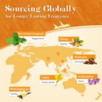 ASAKUKI Essential Oils for Diffusers for Home, Fragrance Oil for Candle Making, ... - Image 5