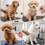 7.5‘’ Professional Dog Grooming Scissors Set 440C Stainless Steel Straight Thinn... - Image 10