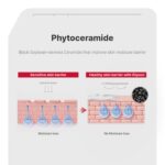 Illiyoon Ceramide Ato Concentrate Cream | Moisturizer for Dry & Sensitive Skin, ... - Image 7
