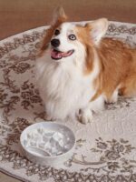 LE TAUCI Dog Bowls Slow Feeder Ceramic, 1.5 Cup Slow Feeding Bowl for Small and ... - Image 3