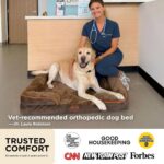 Bedsure Jumbo Orthopedic Dog Bed for Extra Large Dogs - Washable XLarge Dog Cat ... - Image 3