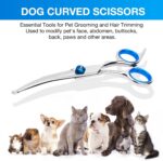Dog Grooming Scissors Curved Shears Set Rounded Trimming Scissors for Profession... - Image 6