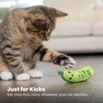 Catstages Crunchy Pickle Kicker Cat Toy – Plush Crinkle Toy with Catnip and Dent... - Image 8