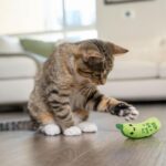 Catstages Crunchy Pickle Kicker Cat Toy – Plush Crinkle Toy with Catnip and Dent... - Image 9