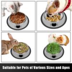 Serentive 2 Pcs Non-Slip Stainless Steel Small Cat Food Bowls - Unbreakable, Thi... - Image 6
