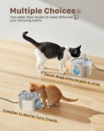 Cat Water Fountain Stainless Steel: 74oz/2.2L Cat Fountain for Drinking - Pet Wa... - Image 7