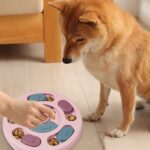 DR CATCH Dog Puzzles,Dogs Food Puzzle Feeder Toys for IQ Training & Mental Enric... - Image 6
