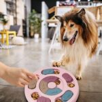DR CATCH Dog Puzzles,Dogs Food Puzzle Feeder Toys for IQ Training & Mental Enric... - Image 7