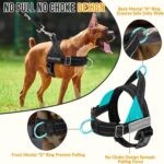 SlowTon No Pull Dog Harness - Heavy Duty Dog Harness and Leash Set for Medium La... - Image 3