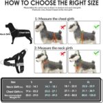 SlowTon No Pull Dog Harness - Heavy Duty Dog Harness and Leash Set for Medium La... - Image 7