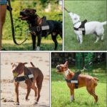 SlowTon No Pull Dog Harness - Heavy Duty Dog Harness and Leash Set for Medium La... - Image 9