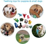 LEGEND SANDY Squeaky Plush Dog Toy Pack for Puppy, Small Stuffed Puppy Chew Toys... - Image 6