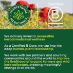 Traditional Medicinals Organic, Stress Ease Calm with Adaptogens, Ashwagandha & ... - Image 7