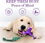 Frienhund 4 Pack (Cactus) Indestructible Tough Dog Toys for Aggressive Chewers: ... - Image 4