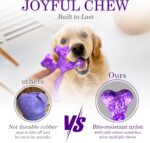 Frienhund 4 Pack (Cactus) Indestructible Tough Dog Toys for Aggressive Chewers: ... - Image 5