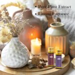 Fragrance Essential Oils Set - 14pcs, Aromatherapy Oils for Skin, Diffusers, Hom... - Image 3