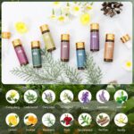 Fragrance Essential Oils Set - 14pcs, Aromatherapy Oils for Skin, Diffusers, Hom... - Image 5