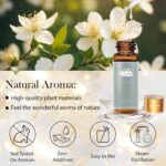 Fragrance Essential Oils Set - 14pcs, Aromatherapy Oils for Skin, Diffusers, Hom... - Image 7