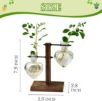 XXXFLOWER Plant Terrarium Wooden Stand, Hydroponic Planter Bulb Glass Metal Swiv... - Image 3