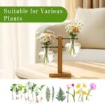 XXXFLOWER Plant Terrarium Wooden Stand, Hydroponic Planter Bulb Glass Metal Swiv... - Image 4
