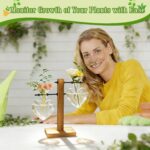 XXXFLOWER Plant Terrarium Wooden Stand, Hydroponic Planter Bulb Glass Metal Swiv... - Image 9