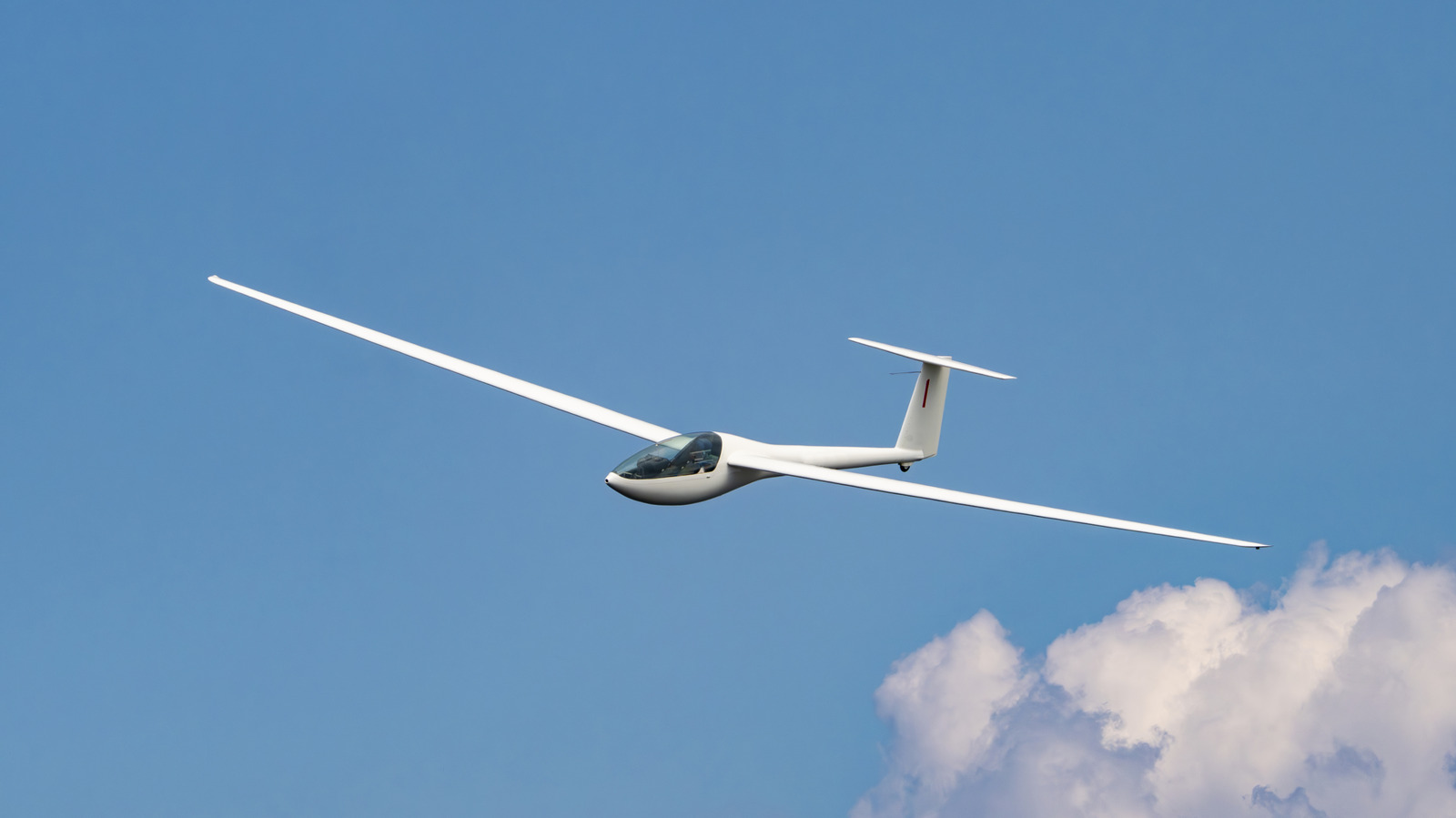 Glider Pilots Shatter Record With 10 Hour Non-Stop Flight