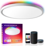 MELEGAN Smart Led Ceiling Light Flush Mount, 12 Inch 24W Ceiling Light Fixture D... - Image 2