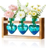 Nacome Plant Terrarium Propagation Stations: Mothers Day Gifts for Mom Plant Lov... - Image 2