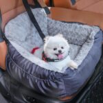 Oiilores Dog Car Seat for Small Dogs, Washable Pet Booster Car Seats with Clip-O... - Image 2