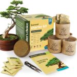 Planter's Choice Bonsai Tree Kit for Beginners & Plant Lovers - Grow Your Own Bo... - Image 2