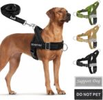 SlowTon No Pull Dog Harness - Heavy Duty Dog Harness and Leash Set for Medium La... - Image 2