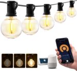 XMCOSY+ Outdoor String Lights, Smart Patio Lights 100Ft Dimmable Outdoor Lights ... - Image 2