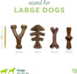Benebone Large 4-Pack Dog Toys for Aggressive Chewers – Durable Dog Bones, Made ... - Image 5